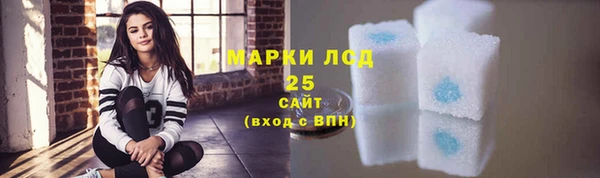 ГАЛЛЮЦИНОГЕННЫЕ ГРИБЫ Осташков