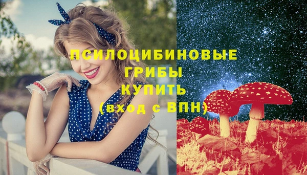 mdpv Осинники