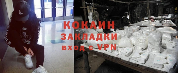 прущие грибы Губаха