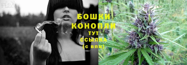 амф Грязовец