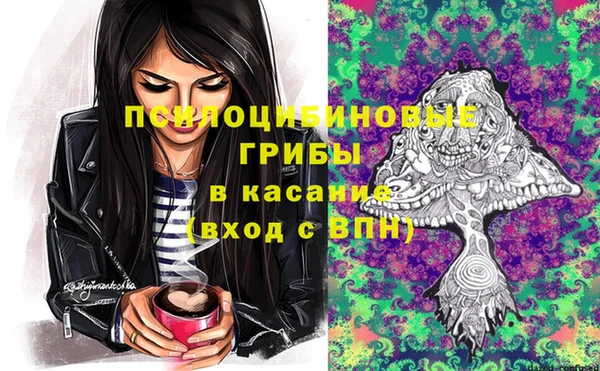 mdpv Осинники