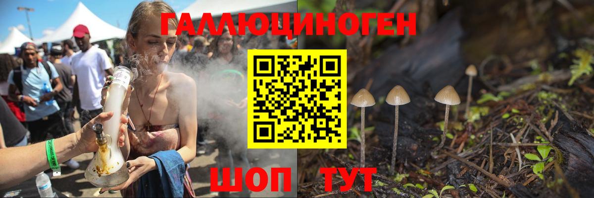 Псилоцибиновые грибы мицелий  где купить   Псилоцибиновые грибы GOLDEN TEACHER  Кинешма  Вход с VPN 