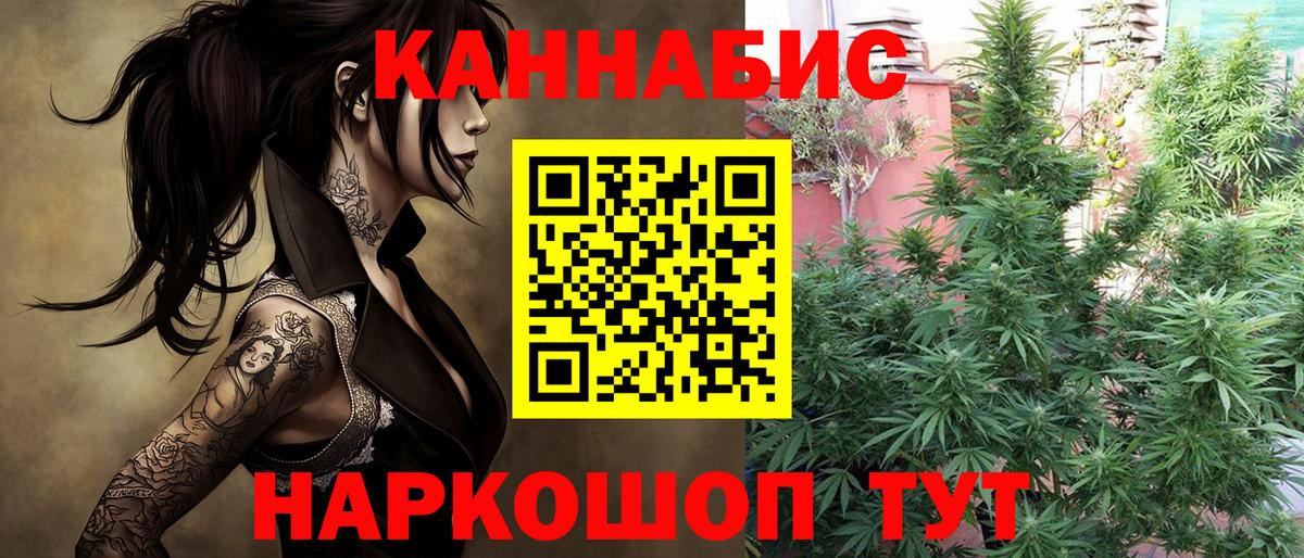 Бошки марихуана AK-47 Кинешма